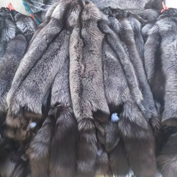 Fourrure de renard naturelle entière, peau de renard, matière première, poils longs et courbés, véri