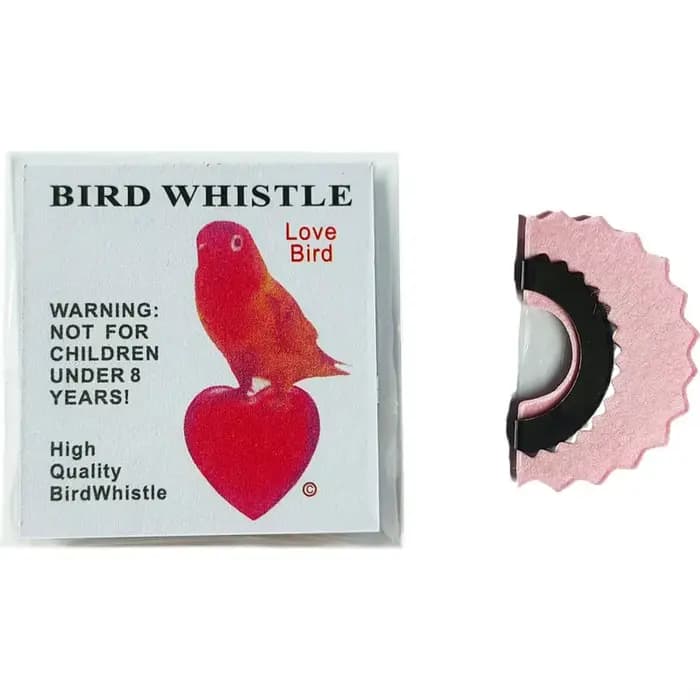 Sifflet magique pour oiseaux, appelant amusant, langue, tweetage magique, bruiteur, jouets, astuces,