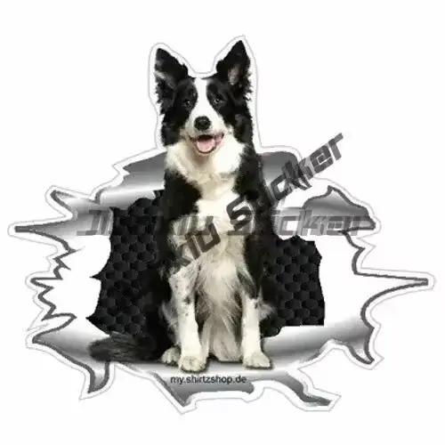 Autocollants d'art pour Border Collie, chien, propriétaire, chiot, à l'intérieur, pour pare-chocs, b