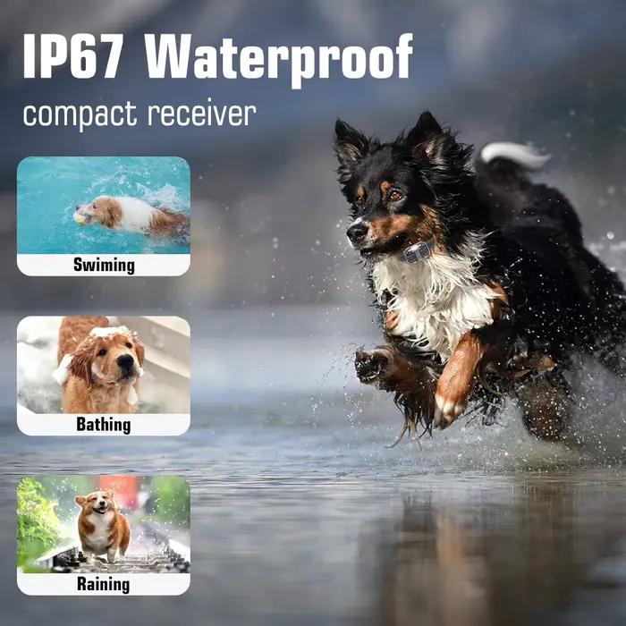 Collier de dressage pour chien avec télécommande, colliers anti-choc étanches IP67, 3 chiens, grands, moyens et petits chiens, colliers électroniques rechargeables