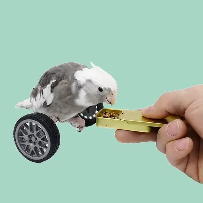 Jouet d'équilibre créatif pour perroquets