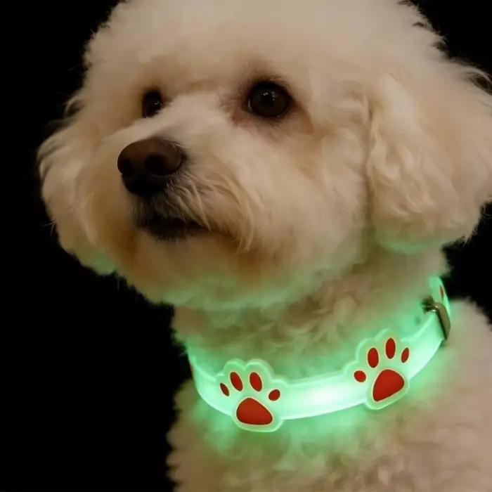 Collier réglable pour chat, anti-perte, en silicone, lumineux, imprimé griffes, qui brille dans le noir, pour petits chiens et chats