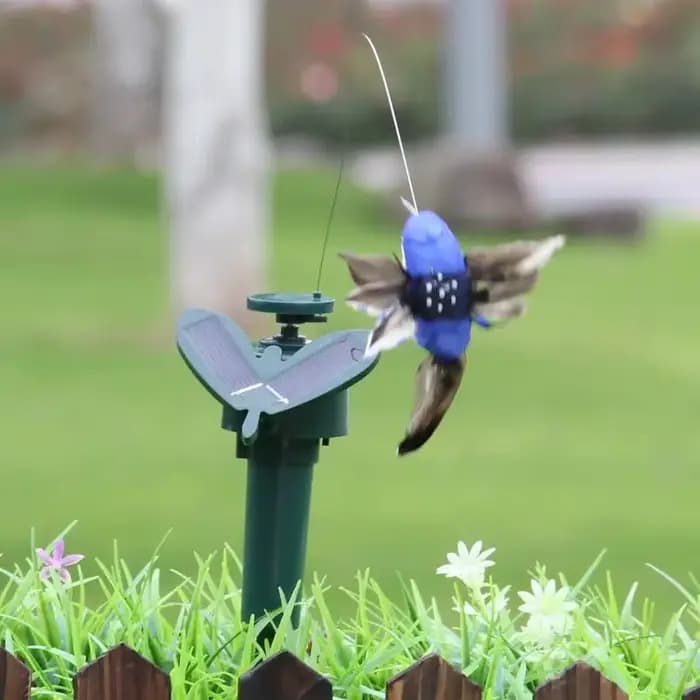 Colibri Solaire Volant existent