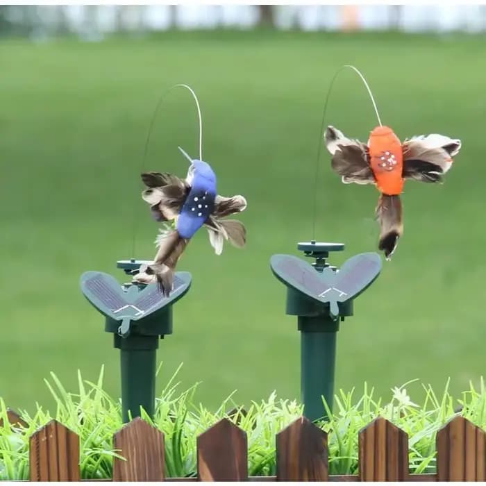 Colibri Solaire Volant existent