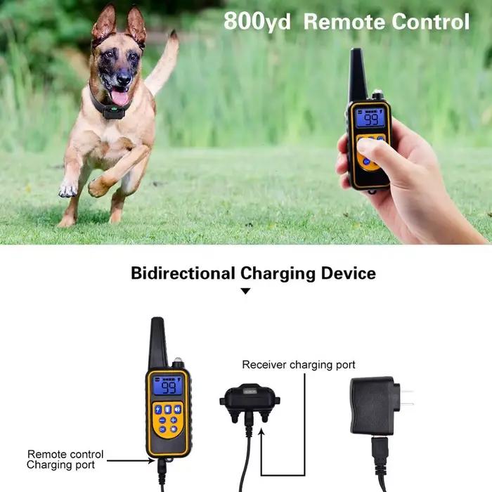 Collier Électrique Anti-Aboiement pour Chien, Étanche, avec Télécommande, Rechargeable, Dispositif de Toutes Tailles