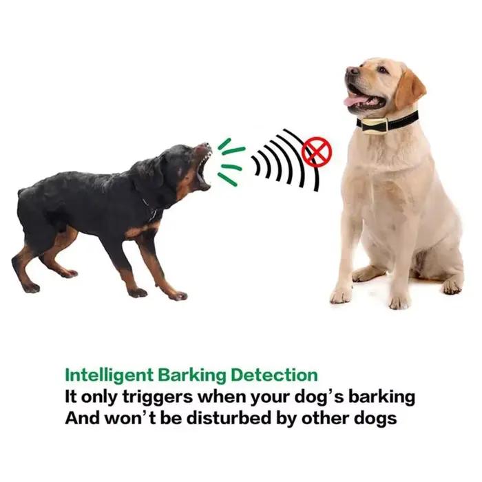 Collier anti-aboiement rechargeable Homefish pour chiens, collier d'entraînement anti-aboiement