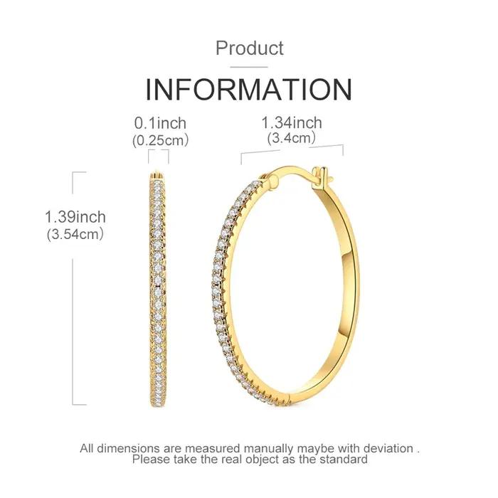 Boucles d'oreilles en argent Sterling 925 pour femmes