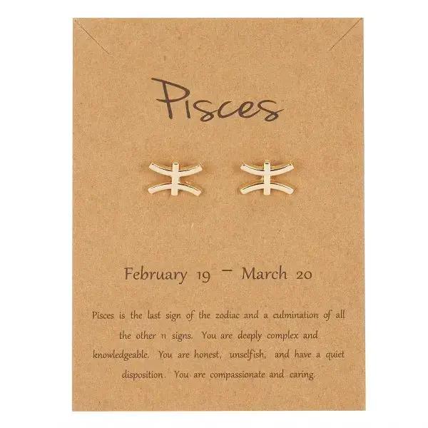 12 Constellation symbole boucles d'oreilles signe du zodiaque bijoux cadeau pour les femmes astrologie scorpion lion