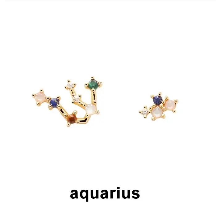 Boucles d'oreilles série douze Constellations en argent Sterling 925