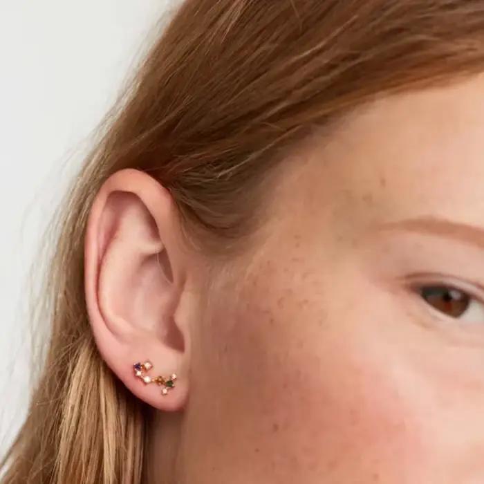 Boucles d'oreilles série douze Constellations en argent Sterling 925