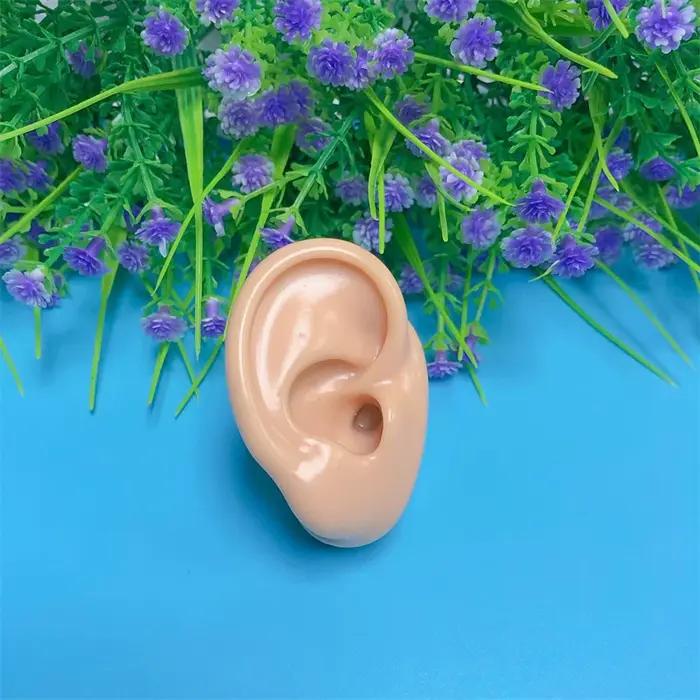 Présentoir de boucles d'oreilles, modèle d'oreille, Clip d'oreille, présentoir de bijoux, support or
