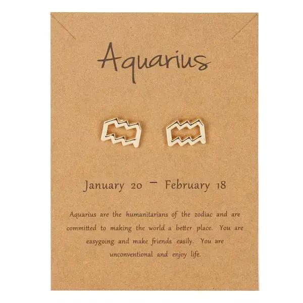 12 Constellation symbole boucles d'oreilles signe du zodiaque bijoux cadeau pour les femmes astrolog