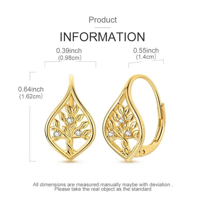 Boucles d'oreilles en argent Sterling 925 pour femmes