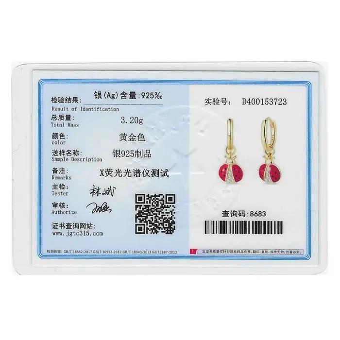 Boucles d'oreilles en argent Sterling 925 pour femmes