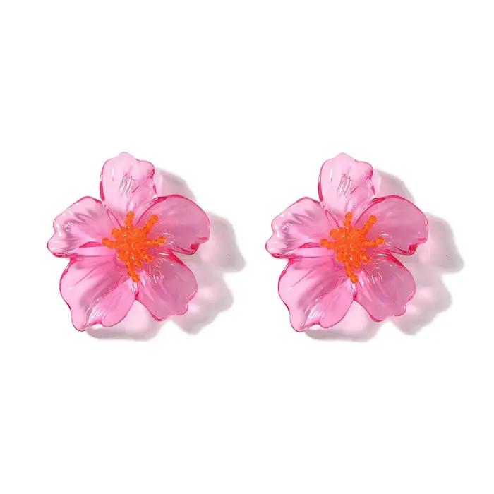 Boucles d'oreilles tendance en résine colorée pour femmes