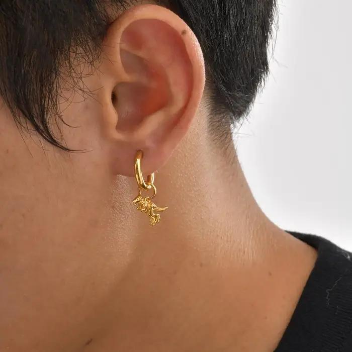 Boucles d'oreilles créoles de dinosaure hypoallergénique en acier inoxydable pour homme passionné d'histoire jurassique et de science