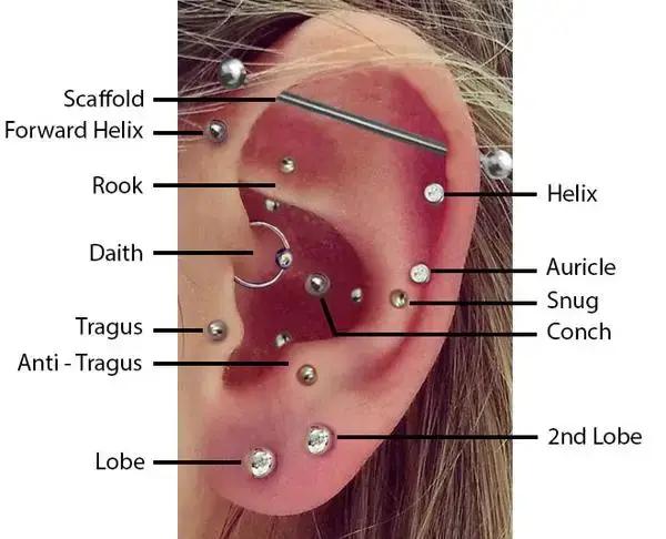16G Helix Cartilage Tragus haltère avec chaîne boucles d'oreilles piercing boule en acier inoxydable boucle d'oreille