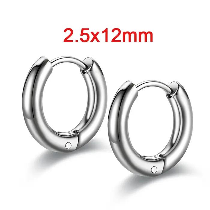 1 paire de boucles d'oreilles en acier inoxydable pour femmes, couleur acier, hypoallergéniques, bij