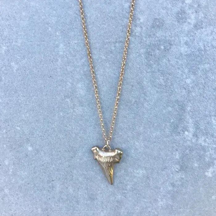Collier pendentif en forme de dent de requin pour hommes et femmes