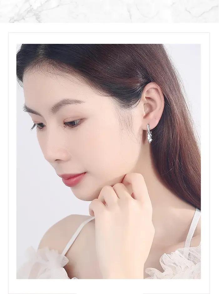 Boucles d'oreilles en argent Sterling 925 en forme de cœur